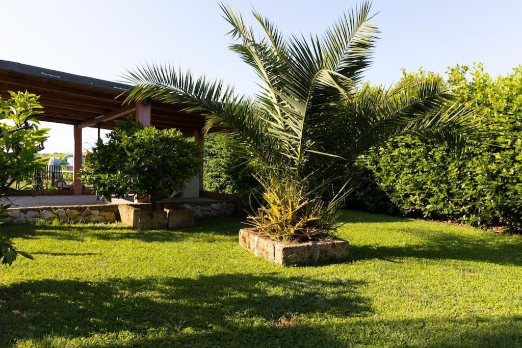 Casale Toscano Piscina Wi-Fi Capannori Esterno foto